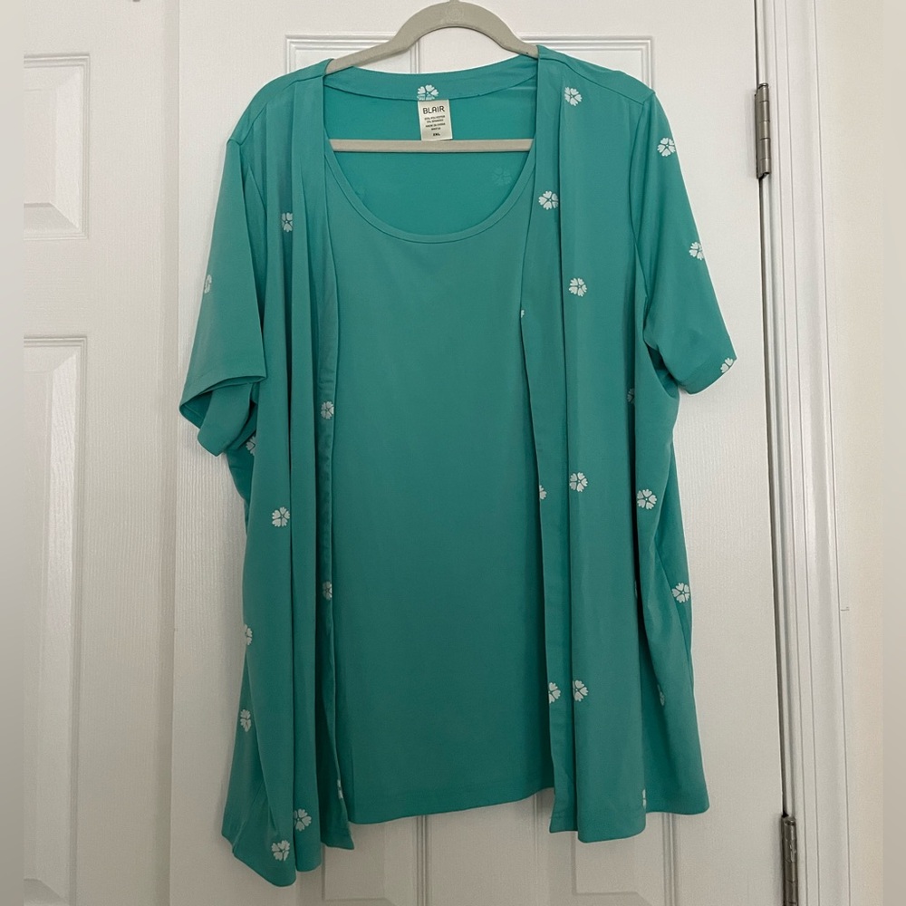 Short sleeve top.